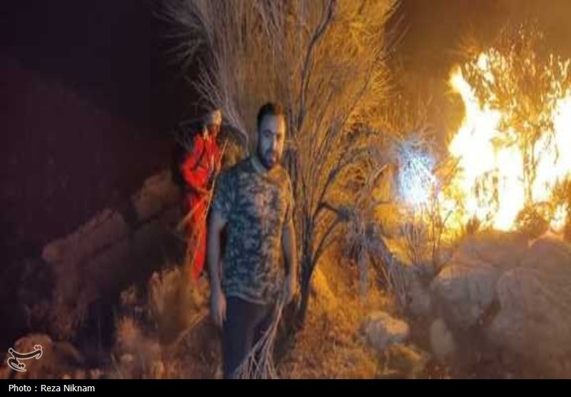 مهار بیش از 70 درصد آتش منطقه کوهستانی گیسکان دشتستان+تصویر