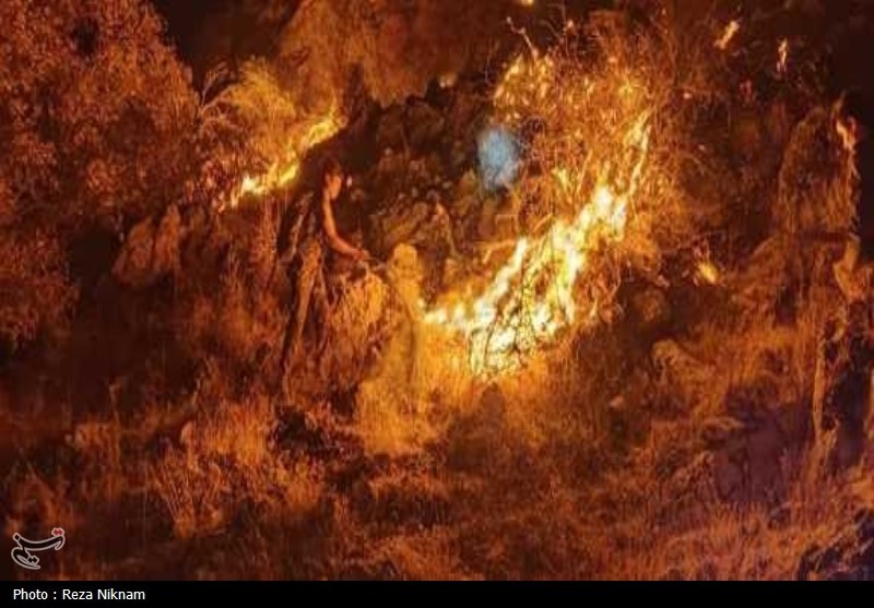 مهار بیش از 70 درصد آتش منطقه کوهستانی گیسکان دشتستان+تصویر