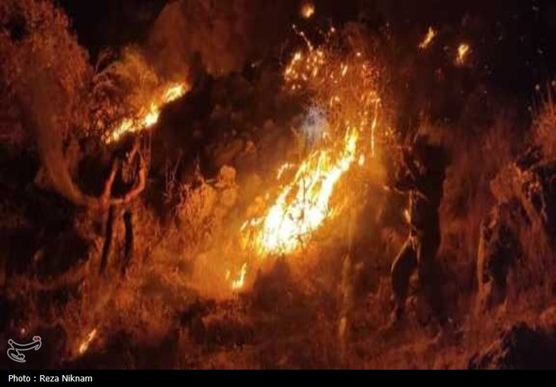 مهار بیش از 70 درصد آتش منطقه کوهستانی گیسکان دشتستان+تصویر
