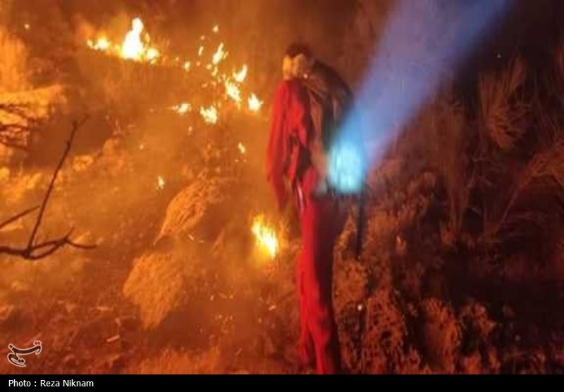 مهار بیش از 70 درصد آتش منطقه کوهستانی گیسکان دشتستان+تصویر