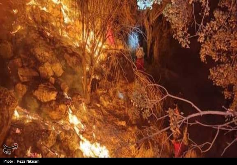 مهار بیش از 70 درصد آتش منطقه کوهستانی گیسکان دشتستان+تصویر