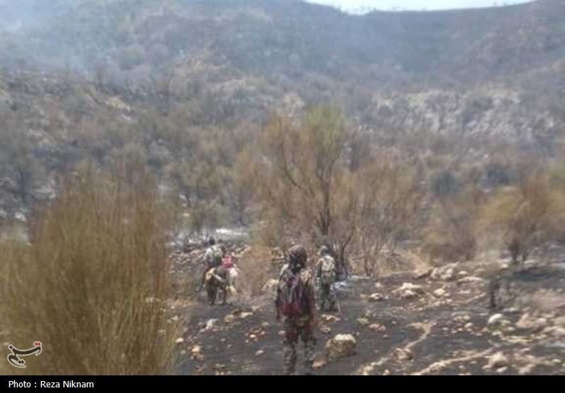 مهار بیش از 70 درصد آتش منطقه کوهستانی گیسکان دشتستان+تصویر
