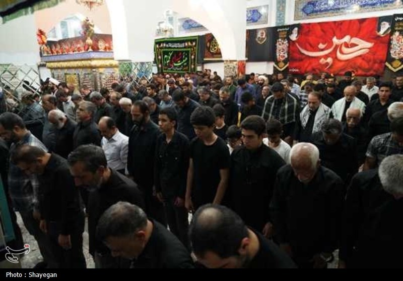 پیاده‌روی دلدادگان و جاماندگان اربعین در بوشهر+تصویر