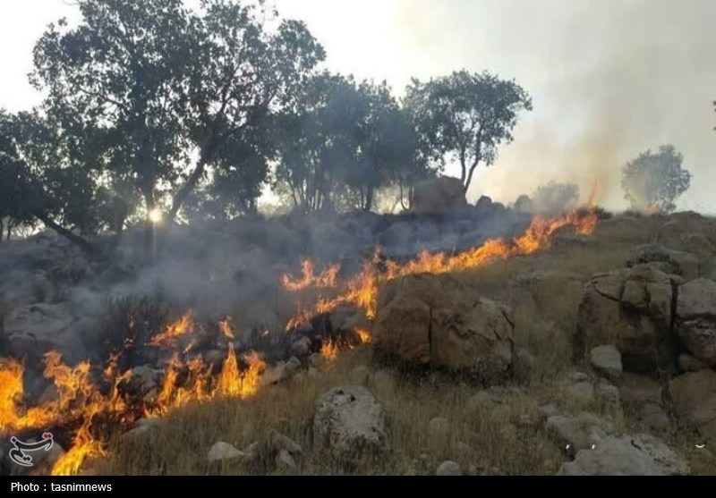 آتش سوزی جنگل ها و مراتع , 