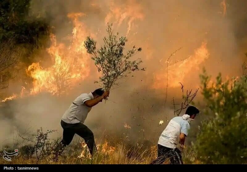 آتش سوزی جنگل ها و مراتع , جنگل , 