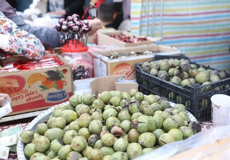 استقبال گردشگران از جشنواره طلای سبز در ثمرین