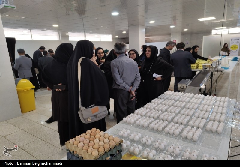 بازدید اصحاب رسانه از کشتارگاه‌ها و مراکز بسته‌بندی همدان+تصویر