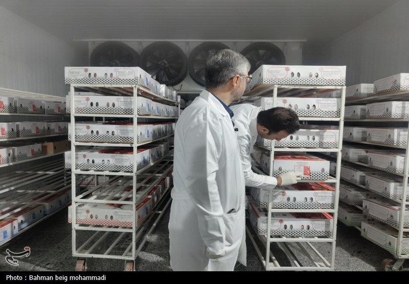 بازدید اصحاب رسانه از کشتارگاه‌ها و مراکز بسته‌بندی همدان+تصویر