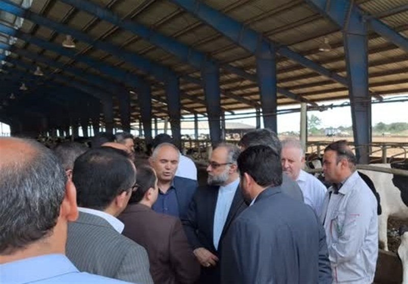 بازدید دادستان اردبیل از پارس‌آباد و تأکید بر مبارزه قاطع با فساد و حمایت از تولید