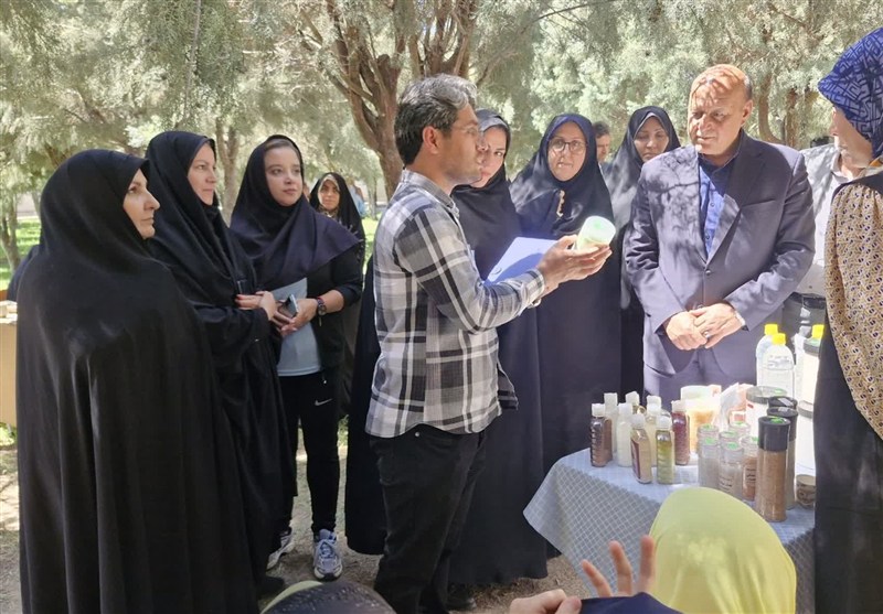 بانوان کارآفرین چهاردانگه به بازار ثابت دسترسی پیدا می‌کنند