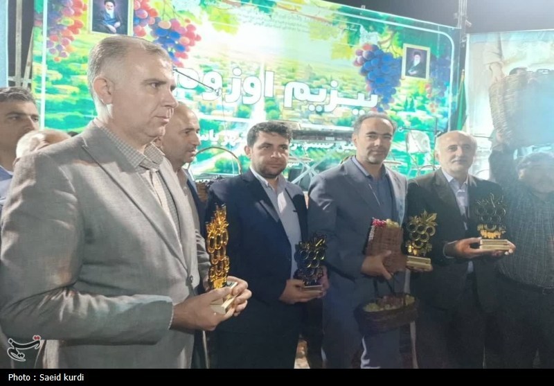 برداشت سالانه 170 تن انگور در استان کردستان