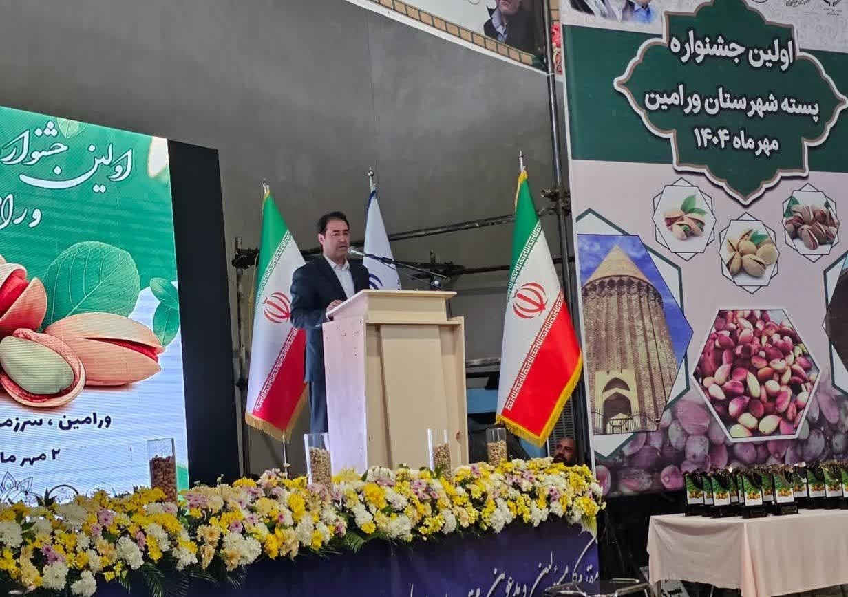 بهره‌وری پسته ورامین 2.4 برابر سایر قطب‌های تولیدی کشور