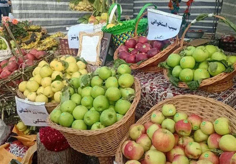 دومین جشنواره ملی سیب در مشگین شهر برگزار شد