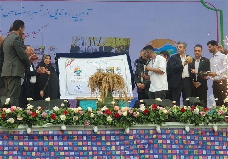 روایت مردم از جشنواره سیاهکل؛ فضایی برای شادی، همبستگی و معرفی شهر