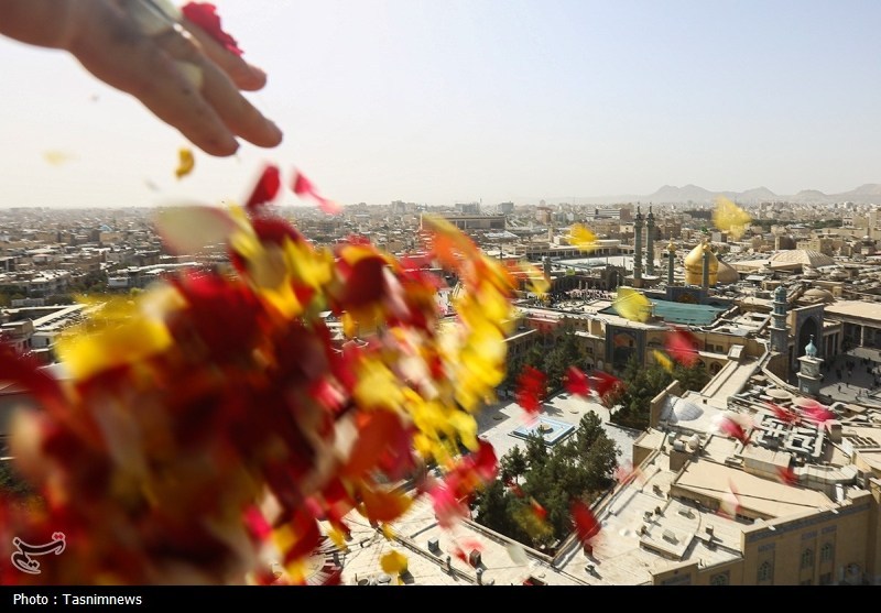 روزی به وسعت تاریخ؛ 12 قرن عشق و ارادت به حضرت معصومه(س)+ تصویر