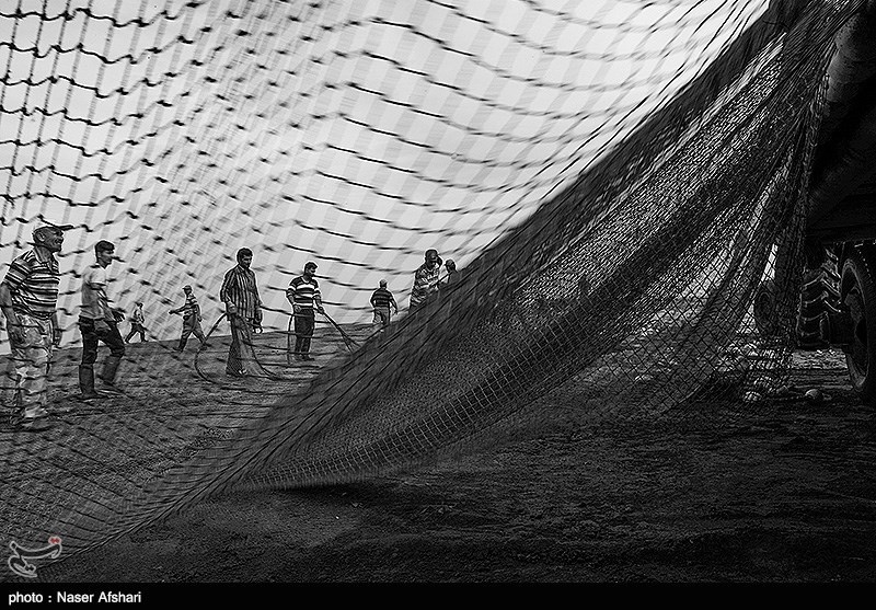 سایه نابودی بر سر ذخایر ماهیان دریای خزر/ کابوس ‌‌صیادان برای تورهای خالی!