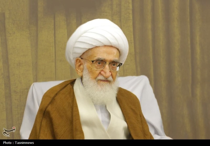 سید عمار حکیم با آیت‌الله نوری همدانی دیدار و گفتگو کرد