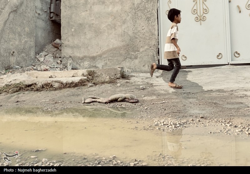 محرومیت در قلب بندرعباس/ گذران زندگی با بوی ‌فاضلاب و کوچه‌های خاکی+فیلم