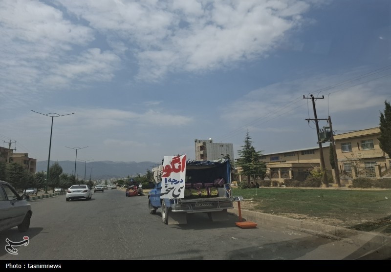 نان خانواده روی چهار چرخ؛ وانت‌میوه‌فروشان بین لقمه‌ای نان و نظم شهری+تصویر