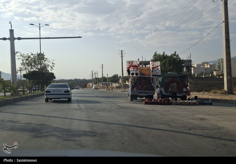 نان خانواده روی چهار چرخ؛ وانت‌میوه‌فروشان بین لقمه‌ای نان و نظم شهری+تصویر