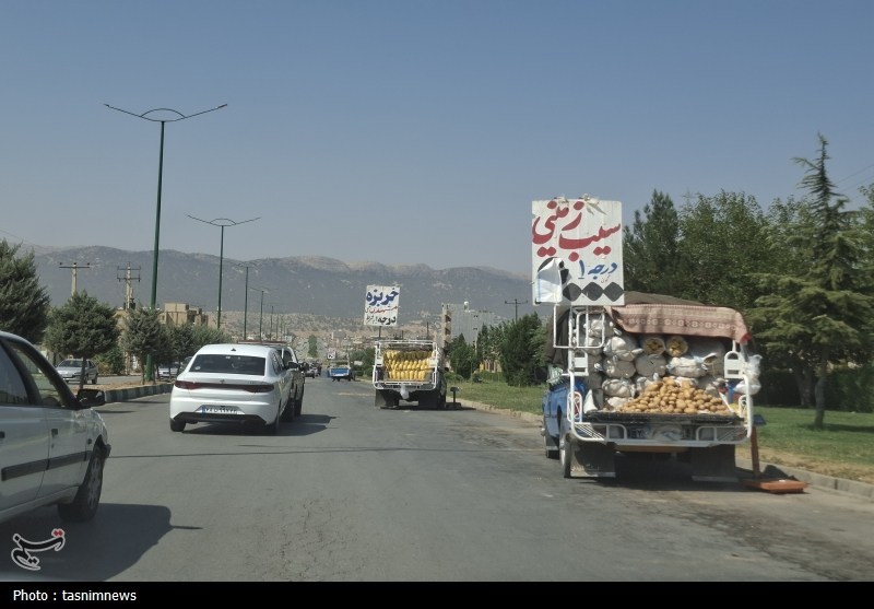 نان خانواده روی چهار چرخ؛ وانت‌میوه‌فروشان بین لقمه‌ای نان و نظم شهری+تصویر