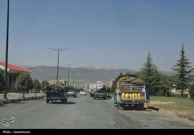 نان خانواده روی چهار چرخ؛ وانت‌میوه‌فروشان بین لقمه‌ای نان و نظم شهری+تصویر