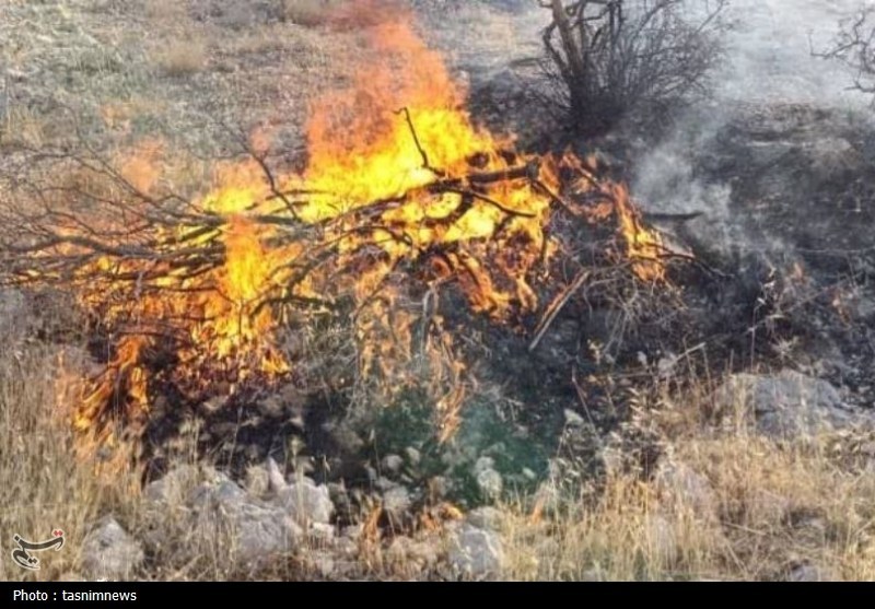سازمان منابع طبیعی , آتش سوزی جنگل ها و مراتع , 