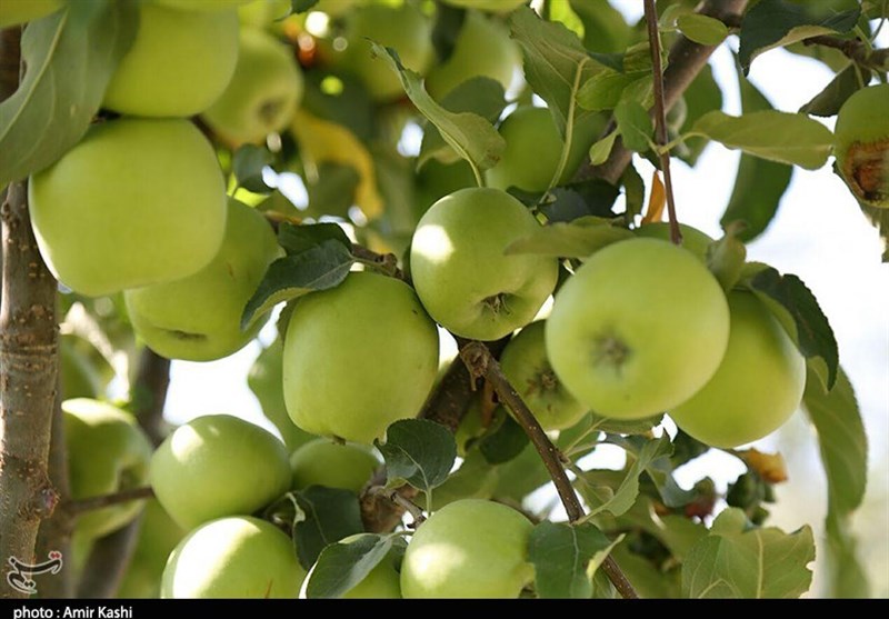 ‌وقتی افغانستان و ترکیه 
