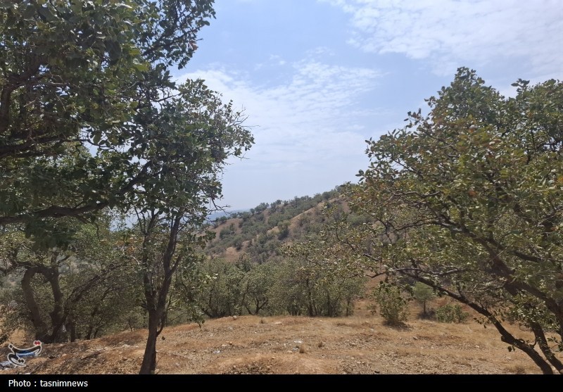سازمان منابع طبیعی , 