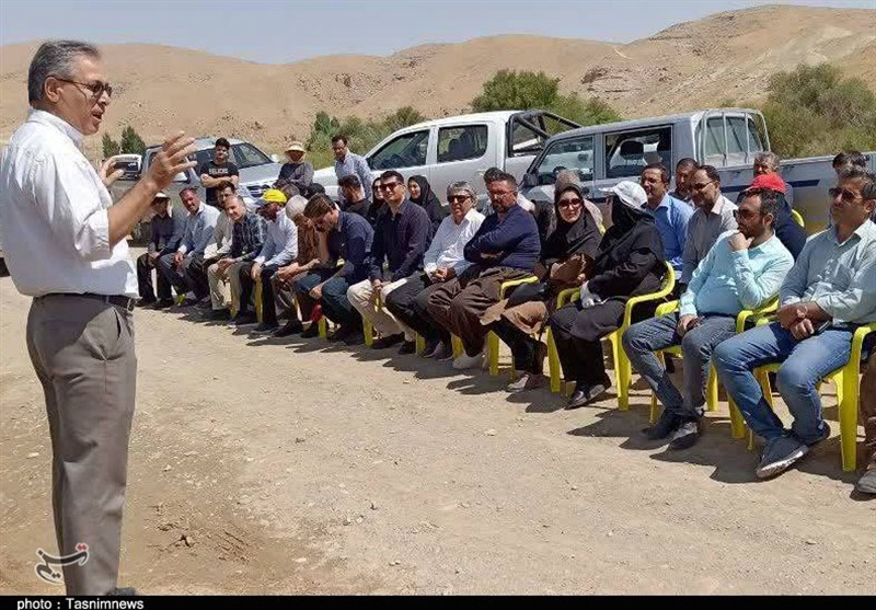 کشت رازیانه از کردستان تا ترکیه/محصولی دارویی و کم‌آب‌بر+فیلم