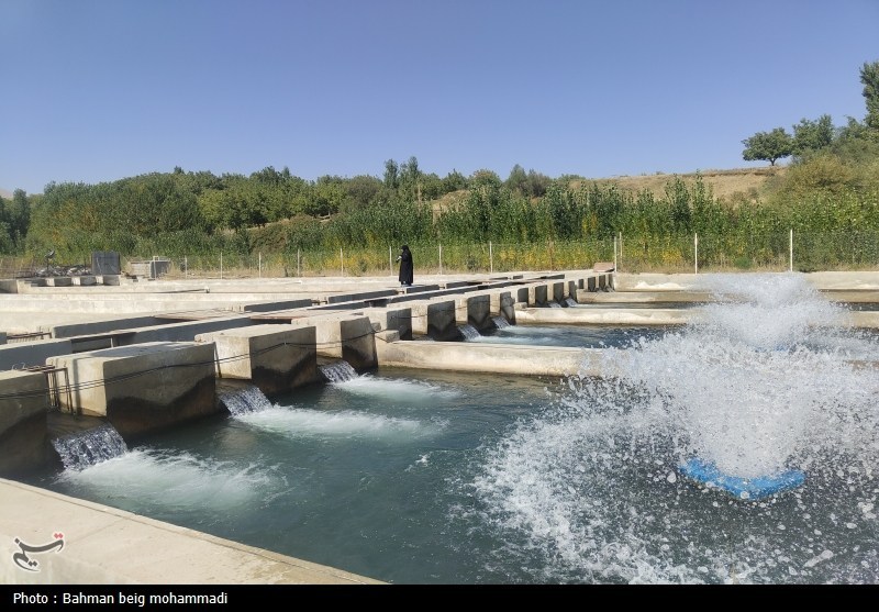 اخبار استان همدان , اخبار همدان , 