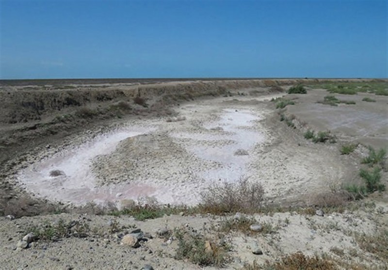اخبار استان گلستان , جنگل های هیرکانی , 
