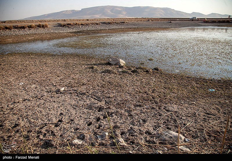 اخبار استان گلستان , جنگل های هیرکانی , 