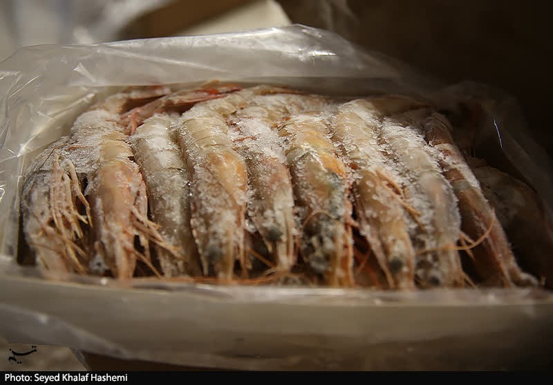 اخبار استان بوشهر , استاندار بوشهر , 