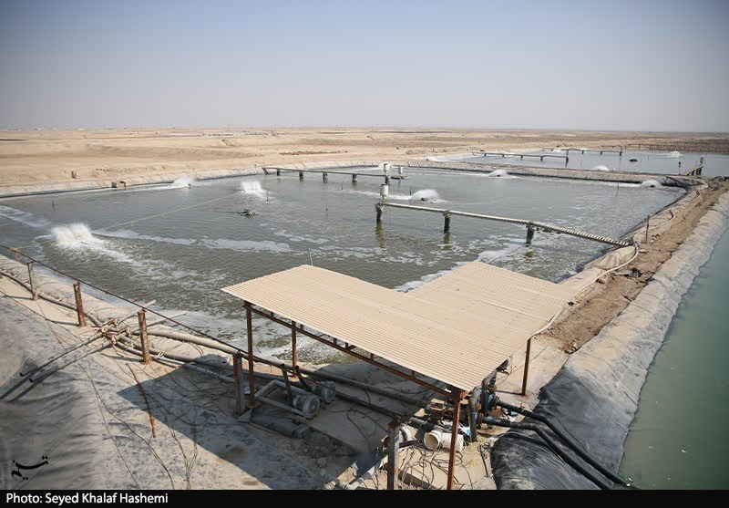 اخبار استان بوشهر , استاندار بوشهر , 