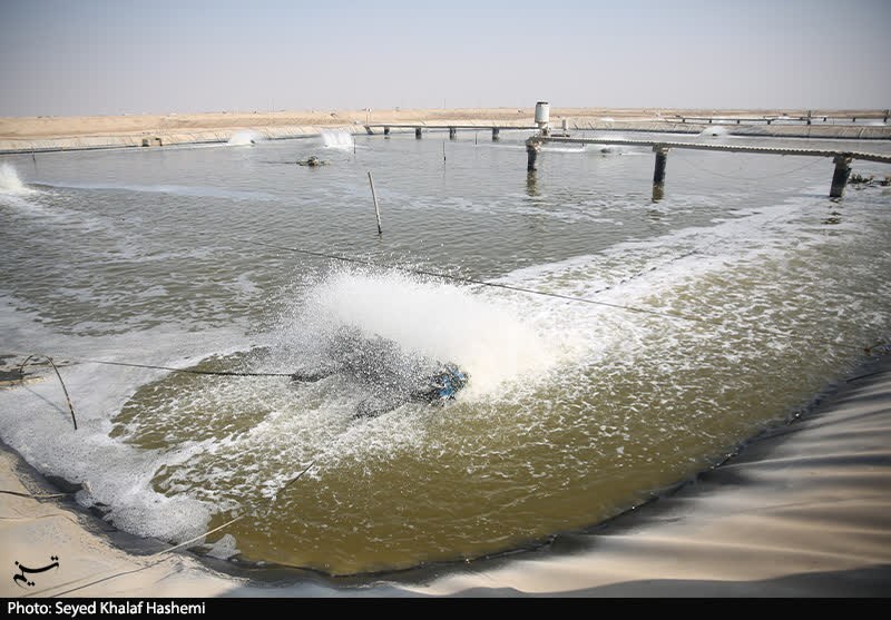 اخبار استان بوشهر , استاندار بوشهر , 