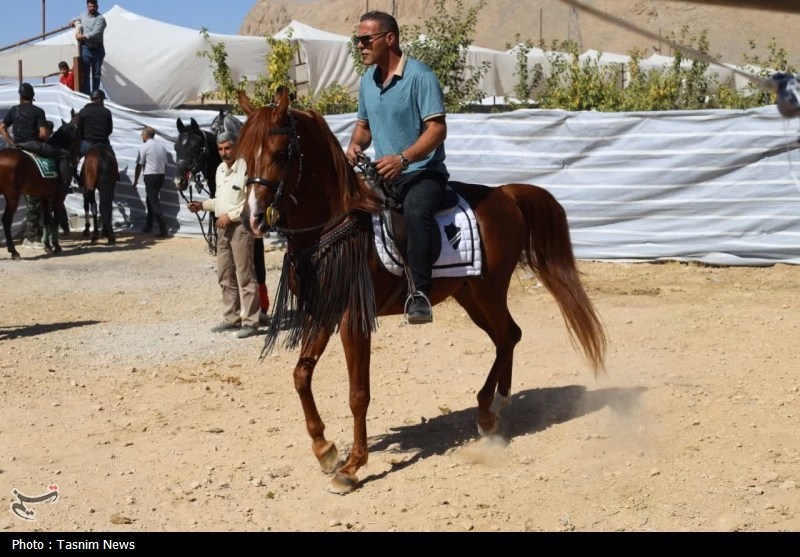 اخبار استان چهارمحال و بختیاری , 