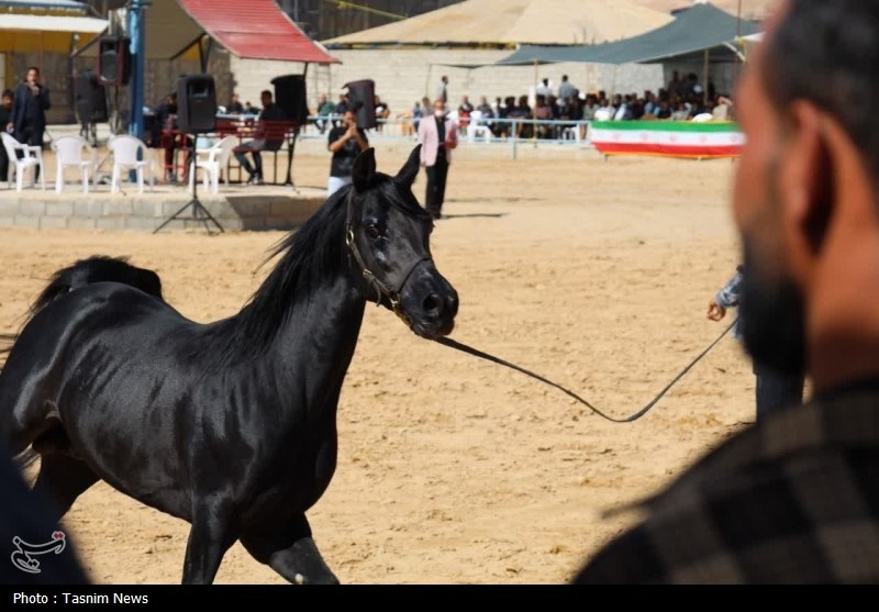 اخبار استان چهارمحال و بختیاری , 