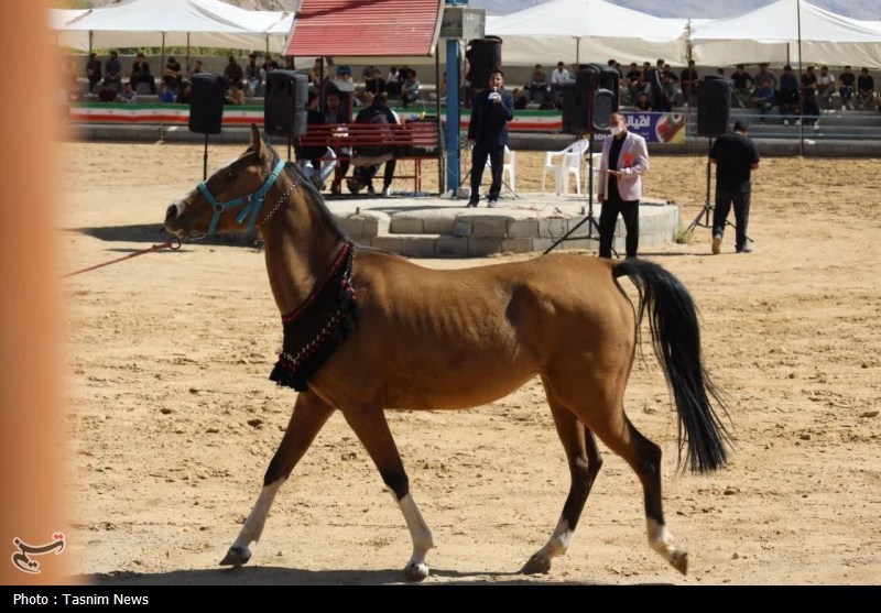 اخبار استان چهارمحال و بختیاری , 