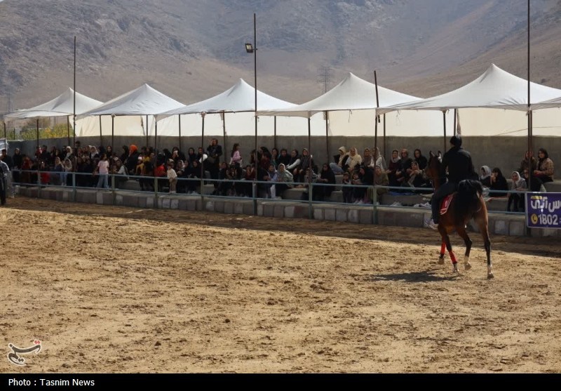 اخبار استان چهارمحال و بختیاری , 