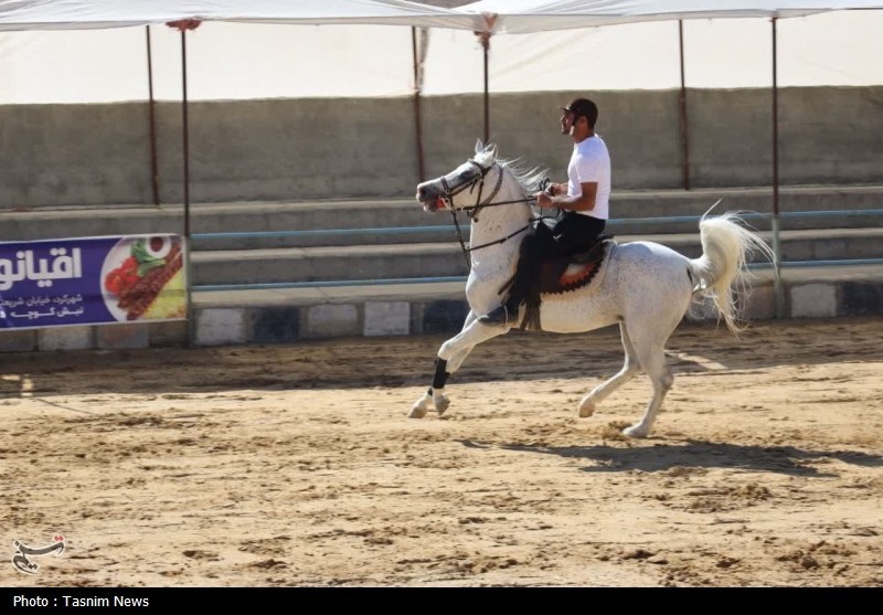 اخبار استان چهارمحال و بختیاری , 