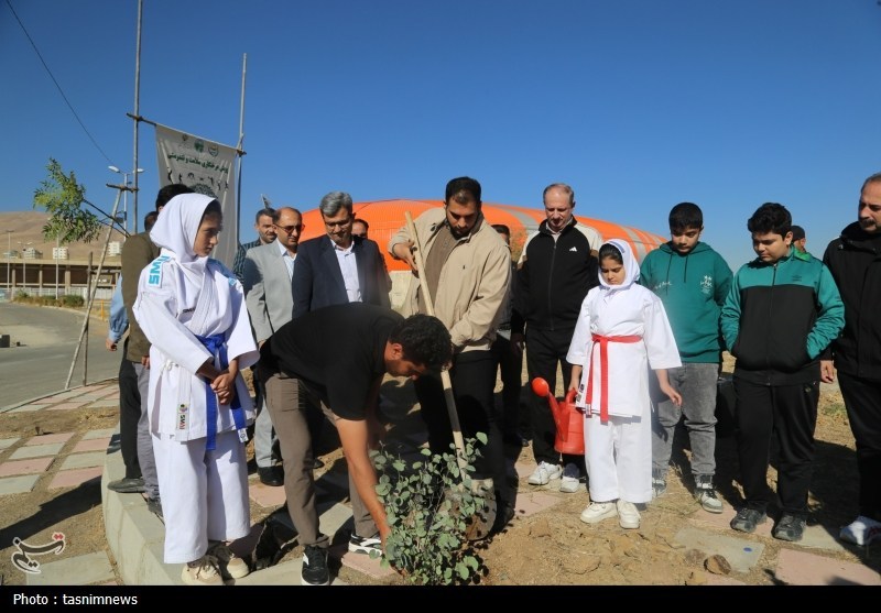 درختکاری در سنندج/"یک قهرمان یک نهال"+تصویر