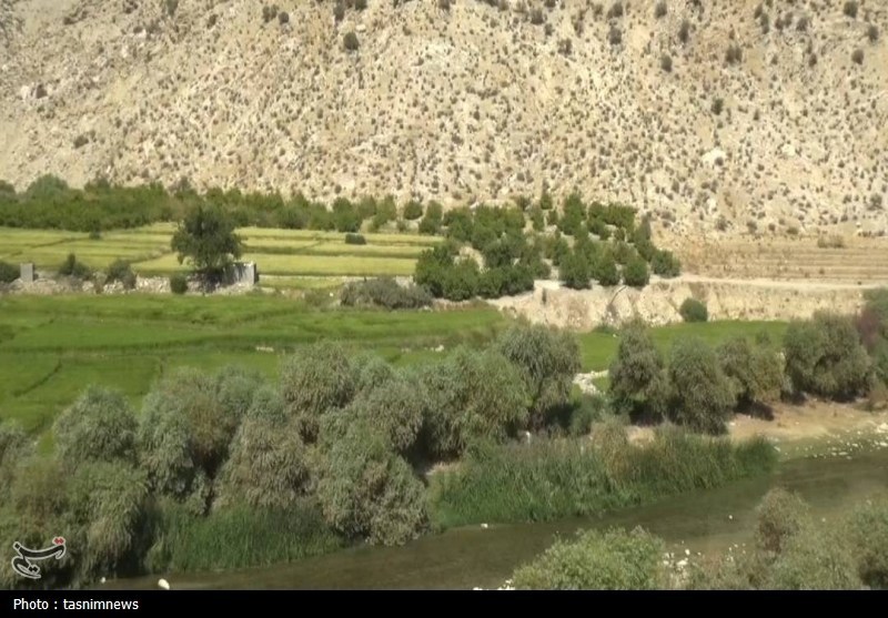 کشاورزی , اخبار استان کهگیلویه و بویراحمد , نظام مسائل استان کهگیلویه و بویراحمد , 