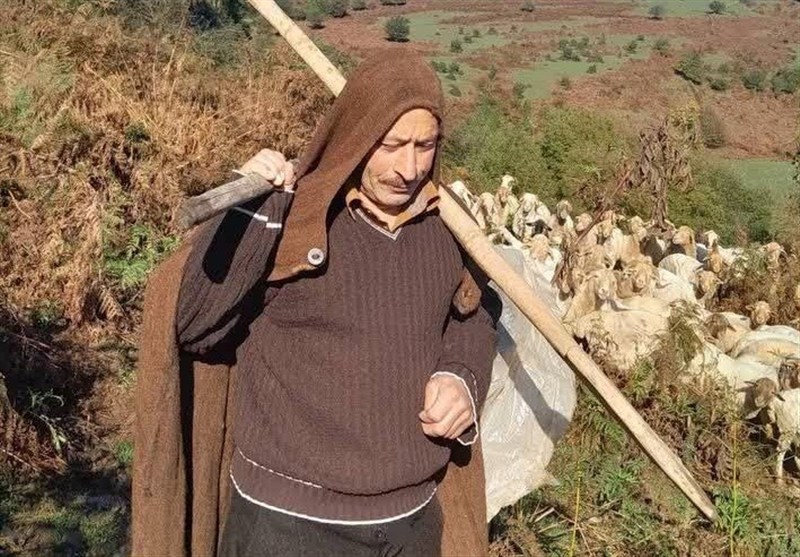 اخبار استان گیلان , نظام مسائل استان گیلان , 