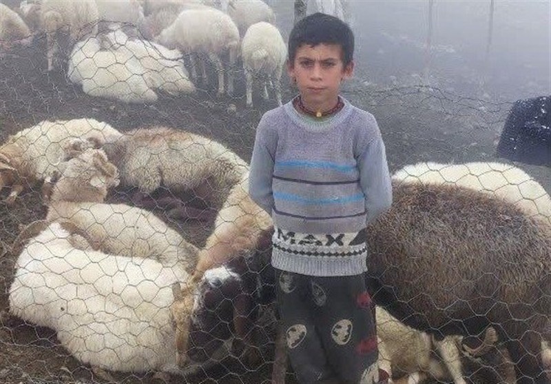اخبار استان گیلان , نظام مسائل استان گیلان , 