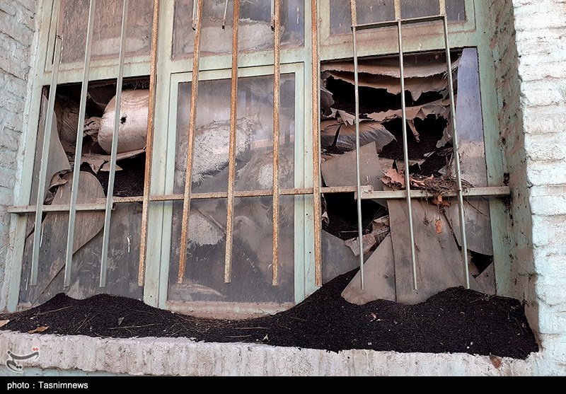 وزارت جهاد کشاورزی , چای , 