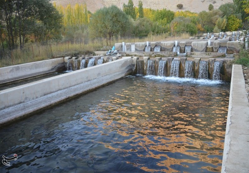کشاورزی , اخبار استان کهگیلویه و بویراحمد , 
