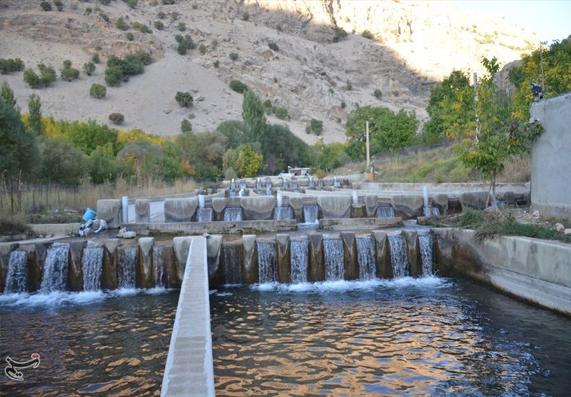 کشاورزی , اخبار استان کهگیلویه و بویراحمد , 