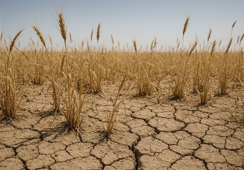 اخبار استان چهارمحال و بختیاری , اخبار لردگان , اخبار شهرکرد , اخبار بروجن , اخبار فارسان , اخبار کوهرنگ , اخبار اردل , آب و هوا , احیای منابع زیرزمینی آب , بحران آب , مدیریت بحران , 