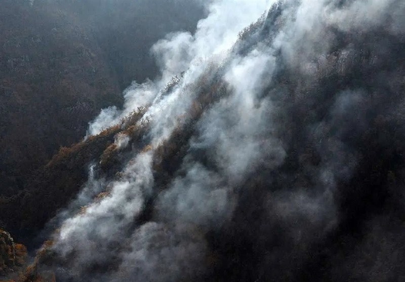 آتش سوزی جنگل ها و مراتع , اخبار چالوس , جنگل های هیرکانی , 